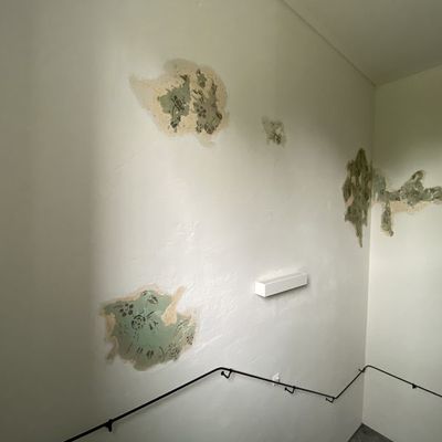Suben Website3 .jpg